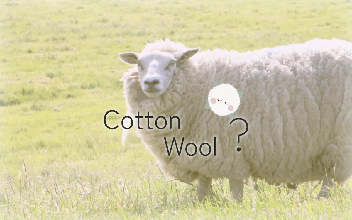 綿とウール(羊毛)の違いと比較、使い分けかた